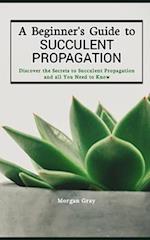 A Beginner's Guide to Succulent Propagation