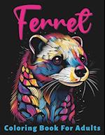 Ferret Coloring Book For Adults