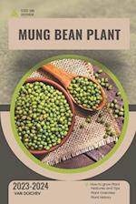 Mung Bean Plant