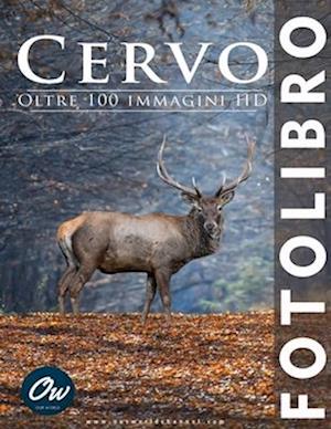 Cervo