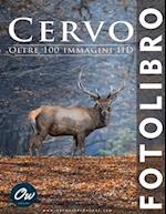 Cervo