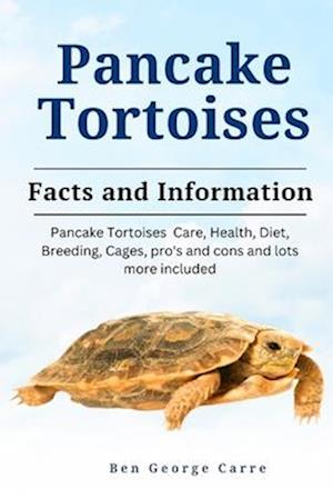 Pancake Tortoises