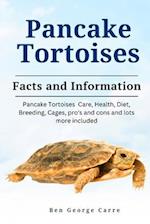 Pancake Tortoises