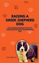 Raising Up Greek Shepherd Dog