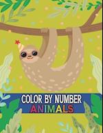 Color By Number Animals