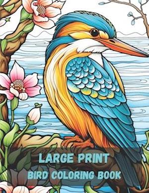 Large print bird coloring book, 20 pages