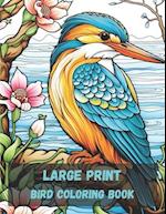 Large print bird coloring book, 20 pages