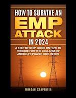 How To Survive An EMP Attack in 2024