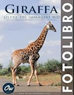 Giraffa