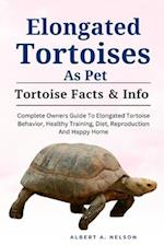 Elongated Tortoises as Pet