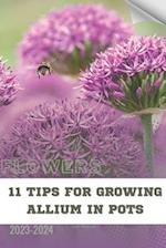 11 Tips For Growing Allium in Pots