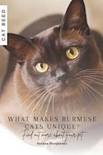 What makes Burmese cats unique?