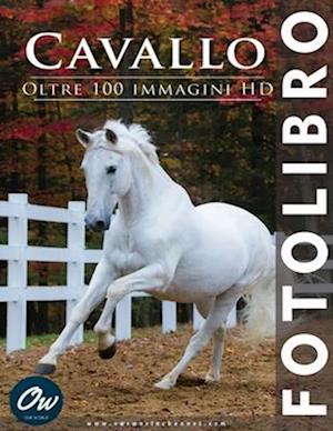 Cavallo