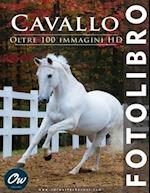 Cavallo