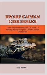Dwarf Caiman Crocodiles