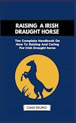Raising a Irish Draught Horse