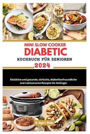 Mini Slow Cooker Diabetic Kochbuch Für Senioren 2024