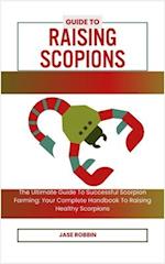 Guide to Raising Scopions