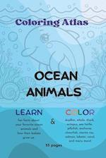 Ocean Animals