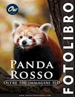 Panda rosso