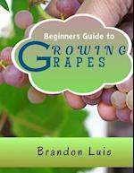 Beginners Guide to Growing Grapes