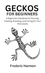 Geckos for Beginners