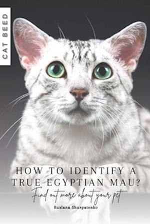 How to identify a true Egyptian Mau?