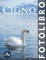 Cigno