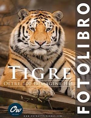 Tigre