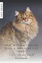 How much exercise does a Siberian cat need?