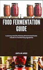 Food Fermentation Guide