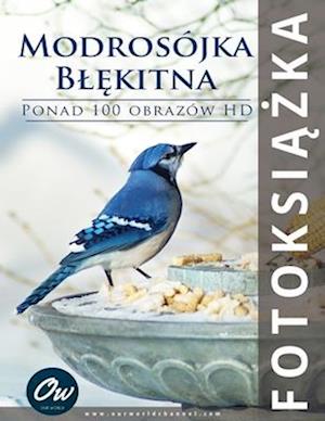 Modrosójka Bl&#281;kitna