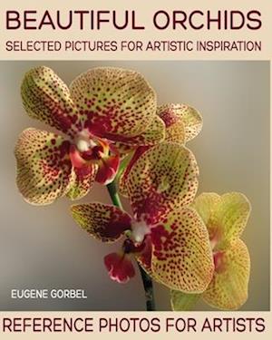 Beautiful orchids. Selected pictures for artistic inspiration: Reference Photos for Artists