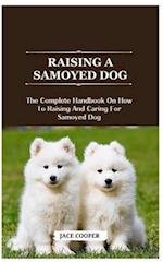 Raising a Samoyed Dog