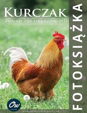 Kurczak