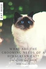 What are the grooming needs of a Himalayan cat?