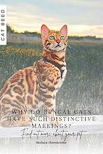 Why do Bengal cats have such distinctive markings?