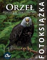 Orzel