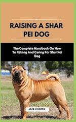 Raising a Shar Pei Dog