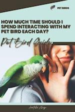 How much time should I spend interacting with my pet bird each day?