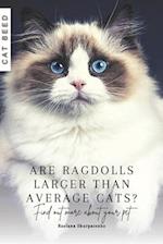 Are Ragdolls larger than average cats?