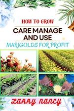 How to Grow Care Manage and Use Marigolds for Profit