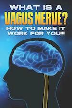 What is a Vagus Nerve?