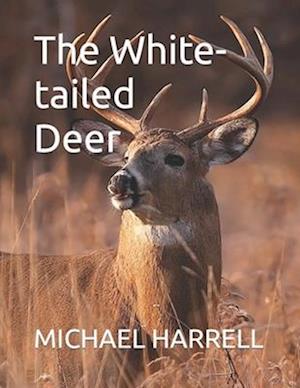 The White-tailed Deer