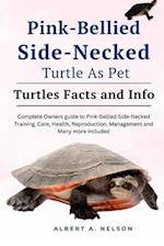 Pink-Bellied Side-Necked Turtle as Pet