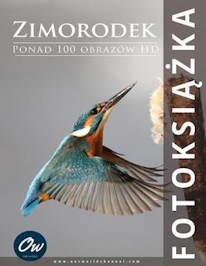 Zimorodek