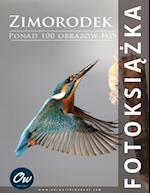 Zimorodek