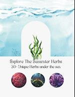 Explore The Seawater Herbs