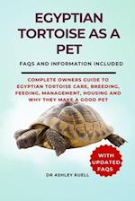 Egyptian Tortoise as a Pet