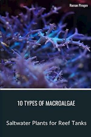 10 Types of Macroalgae
